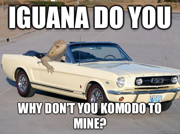 Iguana do you Why don't you Komodo to mine?  Pickup Dragon