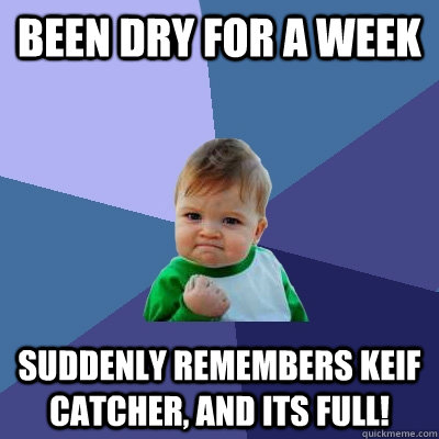 been dry for a week suddenly remembers keif catcher, and its full! - been dry for a week suddenly remembers keif catcher, and its full!  Success Kid