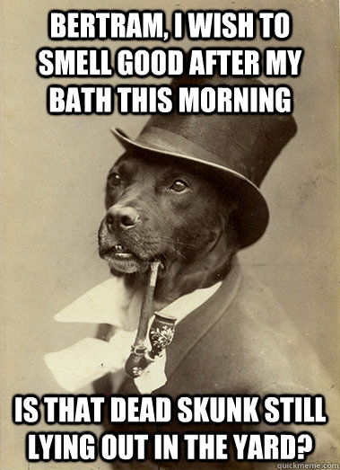 Bertram, i wish to smell good after my bath this morning Is that dead skunk still lying out in the yard? - Bertram, i wish to smell good after my bath this morning Is that dead skunk still lying out in the yard?  Misc