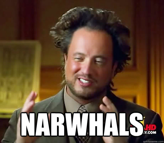  Narwhals   Ancient Aliens