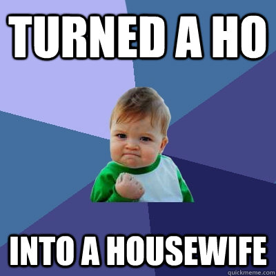 Turned a ho Into a housewife   Success Kid