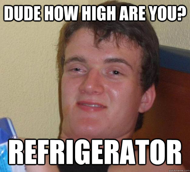 dude how high are you? refrigerator  10 Guy