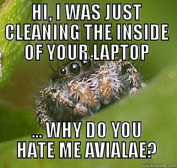 HI, I WAS JUST CLEANING THE INSIDE OF YOUR LAPTOP ... WHY DO YOU HATE ME AVIALAE? Misunderstood Spider