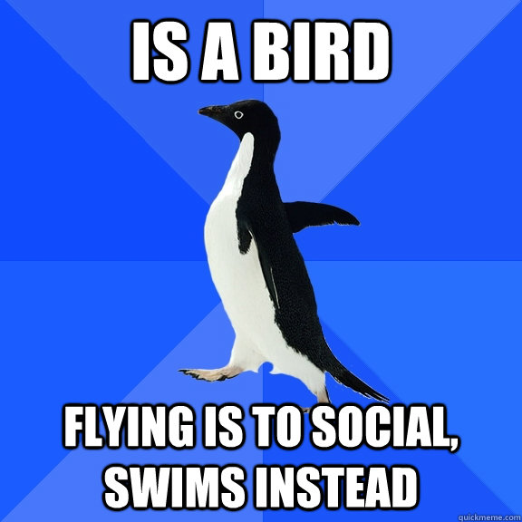 is a bird flying is to social, swims instead  Socially Awkward Penguin