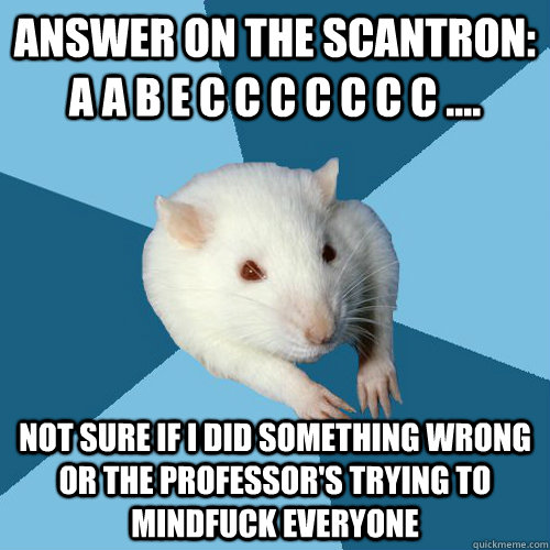 Answer on the scantron: a a b e c c c c c c c .... not sure if i did something wrong or the professor's trying to mindfuck everyone  Psychology Major Rat