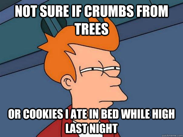 Not sure if crumbs from trees Or cookies I ate in bed while high last night  Futurama Fry