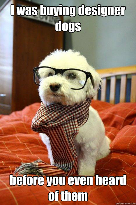 I was buying designer dogs before you even heard of them  Hipster Dog