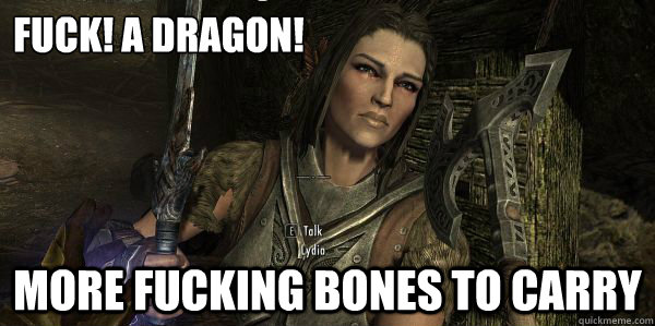 Fuck! A dragon! More fucking bones to carry  