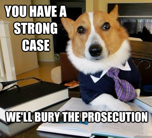 You have a strong case We'll bury the prosecution  Lawyer Dog