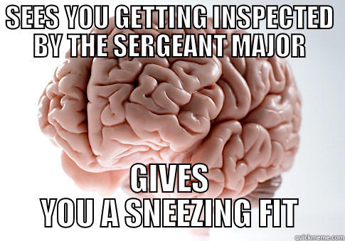 SEES YOU GETTING INSPECTED BY THE SERGEANT MAJOR GIVES YOU A SNEEZING FIT Scumbag Brain