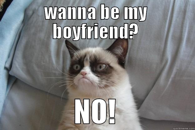 WANNA BE MY BOYFRIEND? NO! Grumpy Cat