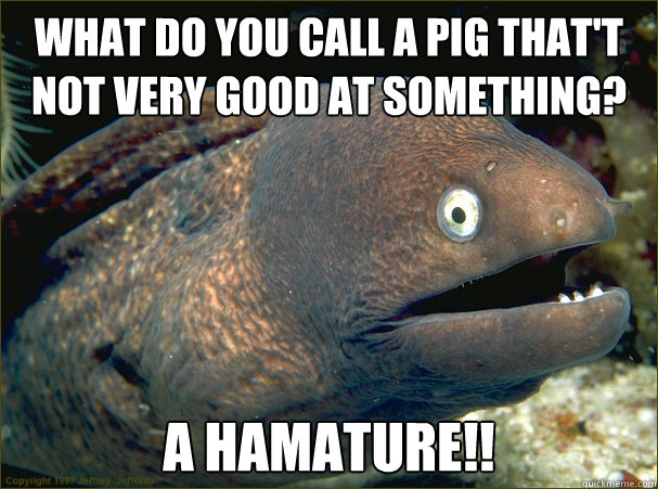 What do you call a pig that't not very good at something? A HAMATURE!!  Bad Joke Eel