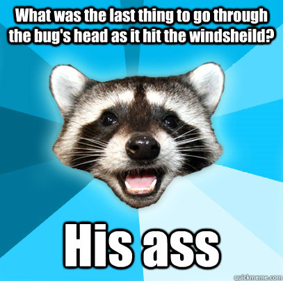 What was the last thing to go through the bug's head as it hit the windsheild? His ass  Lame Pun Coon