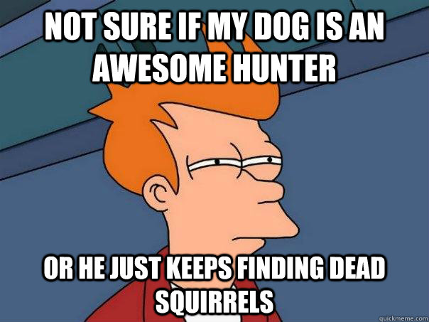 not sure if my dog is an awesome hunter or he just keeps finding dead squirrels - not sure if my dog is an awesome hunter or he just keeps finding dead squirrels  Futurama Fry