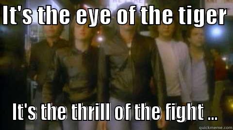 part od a greater meme... - IT'S THE EYE OF THE TIGER  IT'S THE THRILL OF THE FIGHT ... Misc