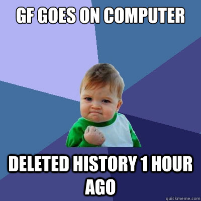 Gf goes on computer deleted history 1 hour ago  Success Kid