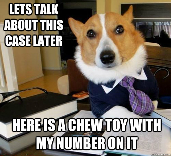 lets talk about this case later here is a chew toy with my number on it  Lawyer Dog