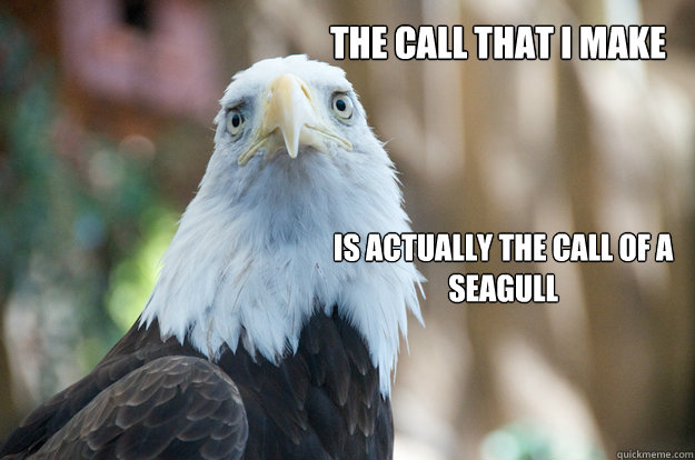 The call that i make is actually the call of a seagull  Confession Bald Eagle