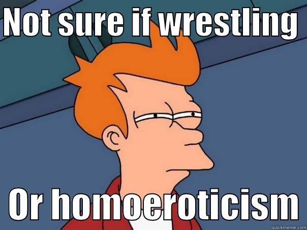 Sociology meme - NOT SURE IF WRESTLING    OR HOMOEROTICISM Futurama Fry