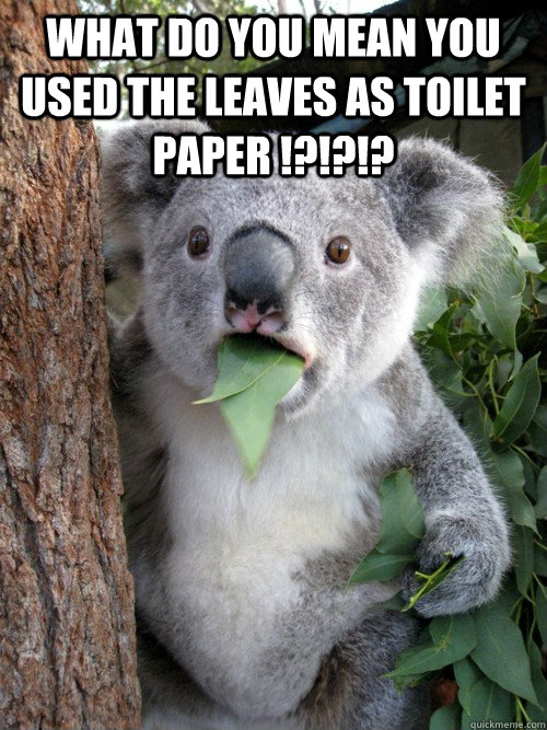 what do you mean you used the leaves as toilet paper !?!?!?   koala bear