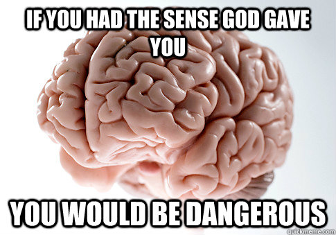 If you had the sense God gave you You would be dangerous   Scumbag Brain