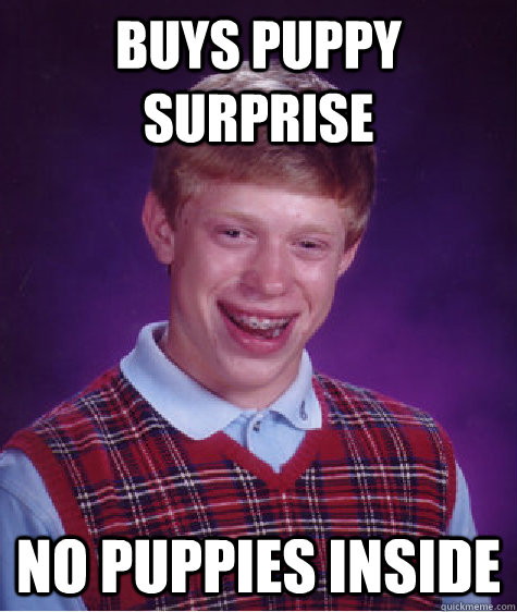 BUYS PUPPY SURPRISE NO PUPPIES INSIDE - BUYS PUPPY SURPRISE NO PUPPIES INSIDE  Bad Luck Brian