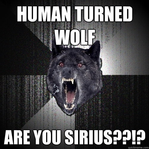 human turned wolf are you sirius??!?  Insanity Wolf