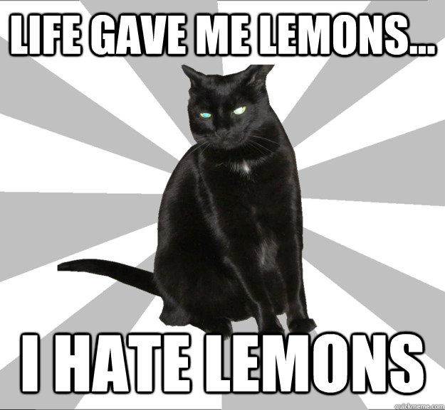 Life gave me lemons... I hate lemons  Pessimistic Cat