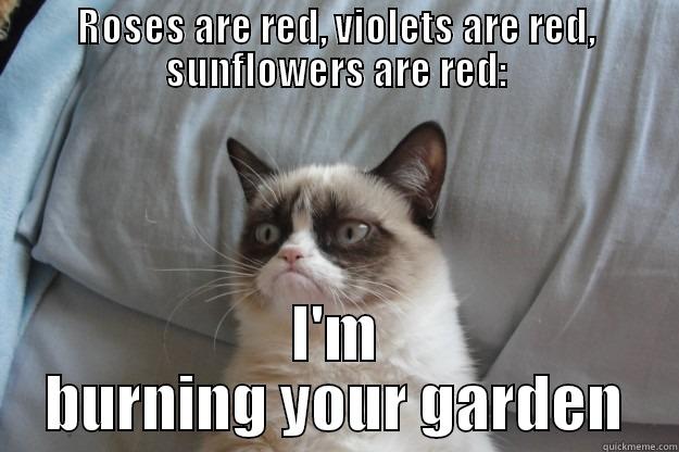 ROSES ARE RED, VIOLETS ARE RED, SUNFLOWERS ARE RED: I'M BURNING YOUR GARDEN Grumpy Cat