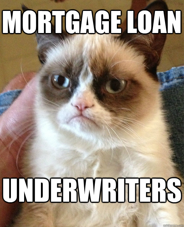 mortgage loan underwriters  Grumpy Cat