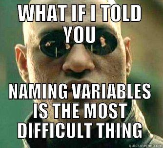 WHAT IF I TOLD YOU NAMING VARIABLES IS THE MOST DIFFICULT THING Matrix Morpheus