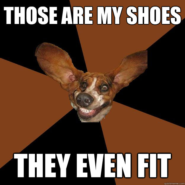 those are my shoes they even fit - those are my shoes they even fit  Trollface Dog