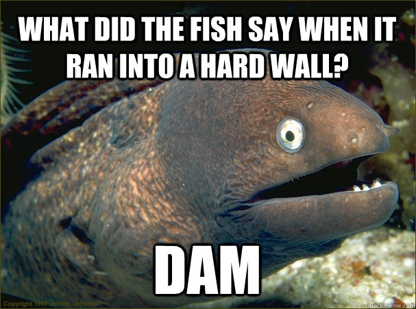 What did the fish say when it ran into a hard wall? Dam  Bad Joke Eel