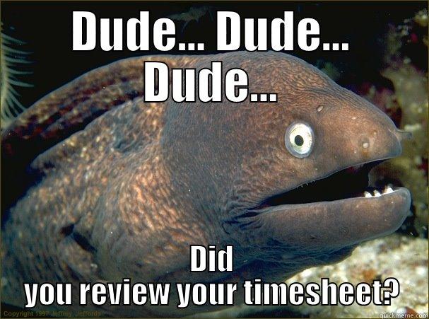 DUDE... DUDE... DUDE... DID YOU REVIEW YOUR TIMESHEET? Bad Joke Eel