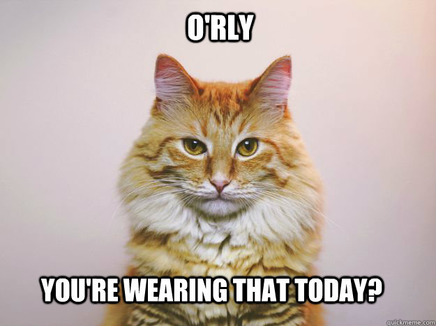 O'rly You're wearing that today? - O'rly You're wearing that today?  Misc