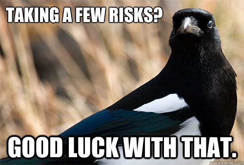 taking a few risks? GOOD LUCK WITH THAT. - taking a few risks? GOOD LUCK WITH THAT.  knows-something magpie