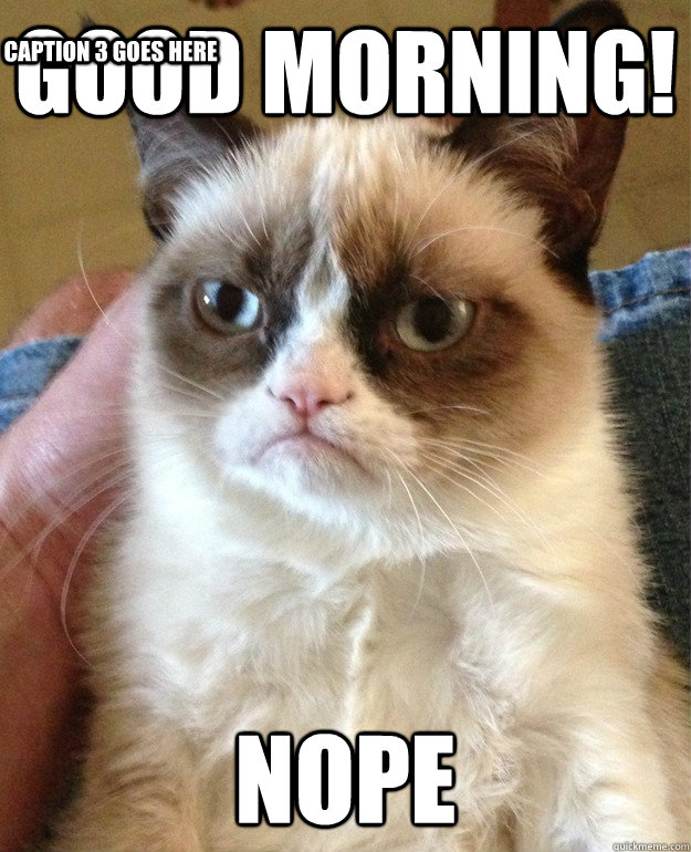 Good morning! nope Caption 3 goes here  Grumpy Cat