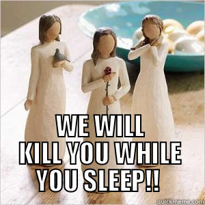 willow people suck -  WE WILL KILL YOU WHILE YOU SLEEP!!  Misc