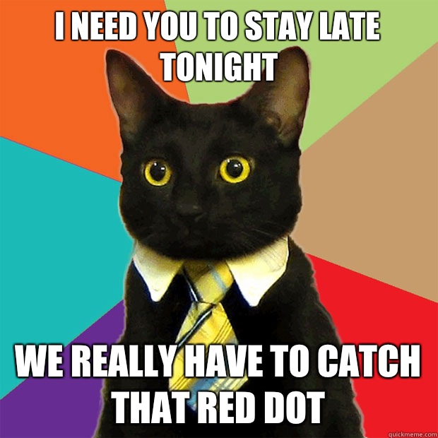 I need you to stay late tonight We really have to catch that red dot  Business Cat