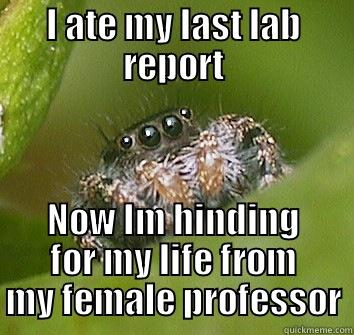 I ATE MY LAST LAB REPORT NOW IM HINDING FOR MY LIFE FROM MY FEMALE PROFESSOR Misunderstood Spider