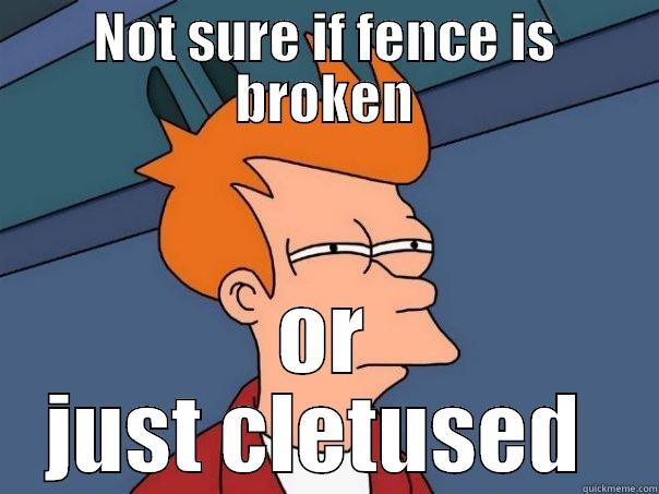 NOT SURE IF FENCE IS BROKEN OR JUST CLETUSED  Futurama Fry