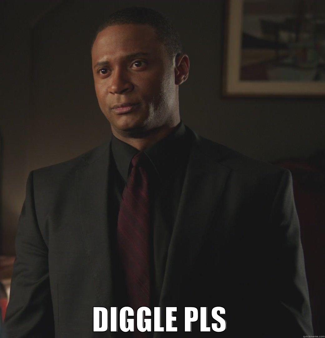  DIGGLE PLS Misc