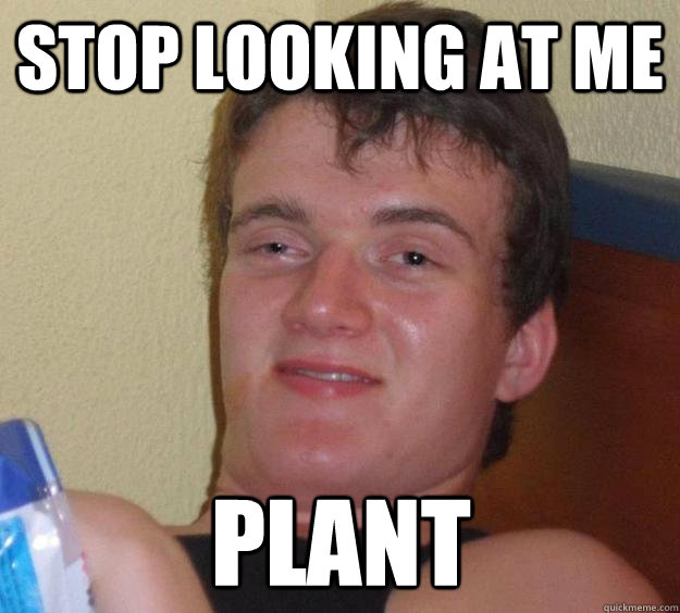 stop looking at me plant - stop looking at me plant  10 Guy