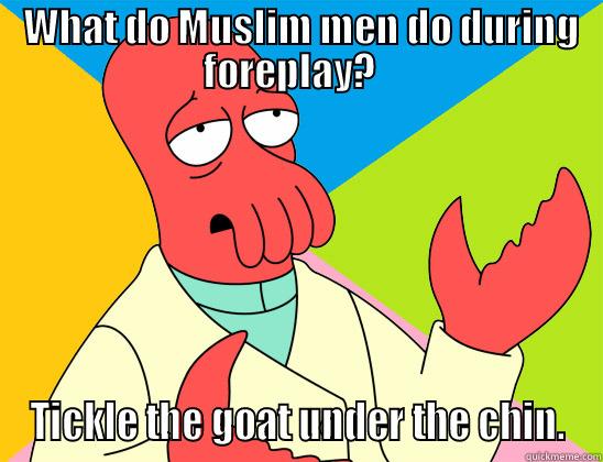 Another joke for ya -  WHAT DO MUSLIM MEN DO DURING FOREPLAY?   TICKLE THE GOAT UNDER THE CHIN. Futurama Zoidberg 