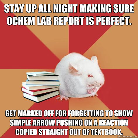 Stay up all night making sure ochem lab report is perfect. Get marked off for forgetting to show simple arrow pushing on a reaction copied straight out of textbook.  - Stay up all night making sure ochem lab report is perfect. Get marked off for forgetting to show simple arrow pushing on a reaction copied straight out of textbook.   Science Major Mouse