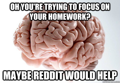 Oh you're trying to focus on your homework? Maybe reddit would help   Scumbag Brain