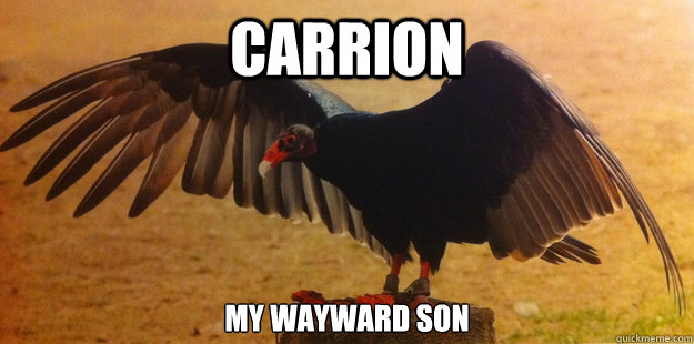 Carrion My wayward son  Lame Pun Vulture