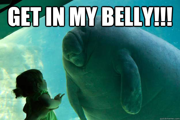 Get In My Belly Overlord Manatee Quickmeme
