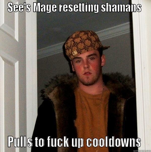 SEE'S MAGE RESETTING SHAMANS PULLS TO FUCK UP COOLDOWNS Scumbag Steve