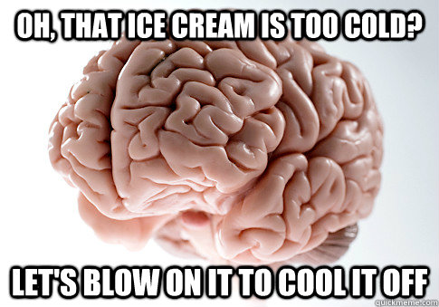 Oh, that ice cream is too cold? Let's blow on it to cool it off  Scumbag Brain